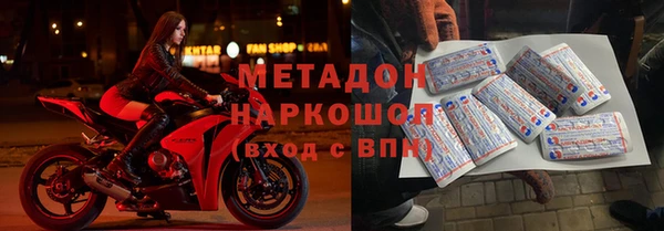 прущие грибы Волосово