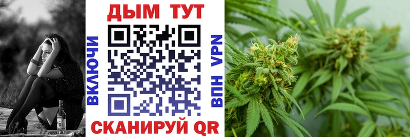 как найти наркотики  Камень-на-Оби  Бошки Шишки THC 21% 
